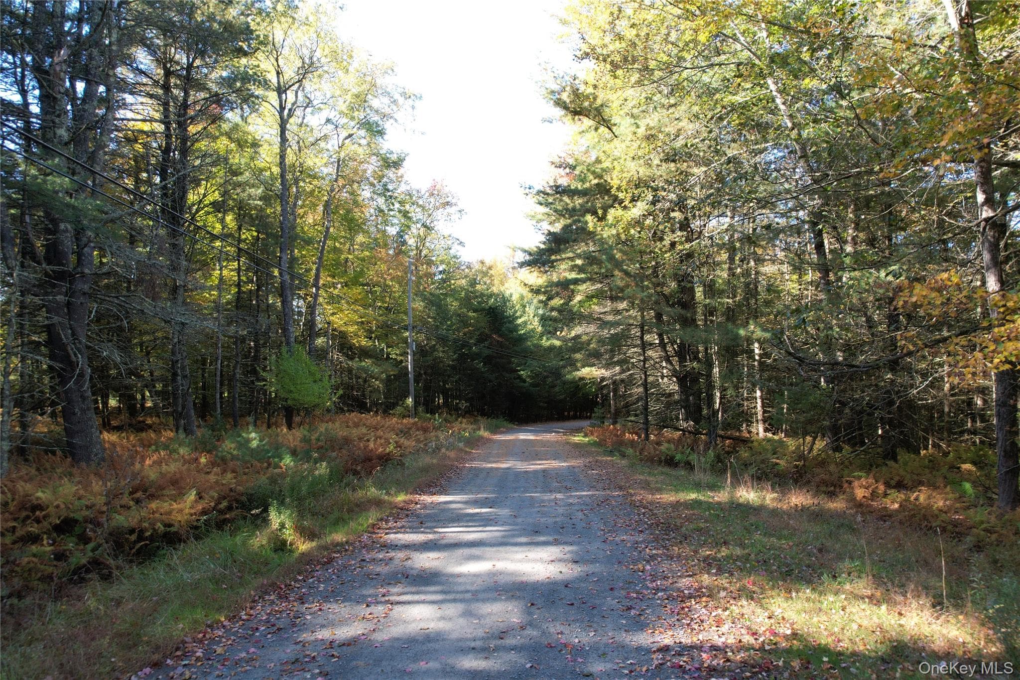 Lot 11 Deer Meadow Road thumbnail 9