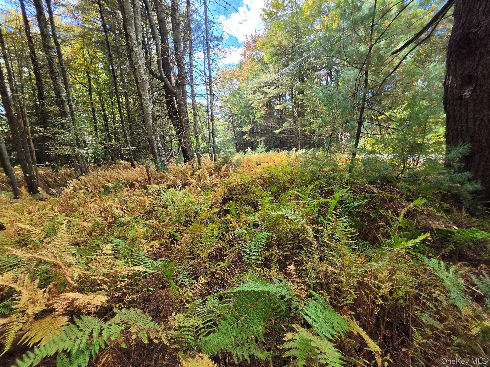 Lot 11 Deer Meadow Road thumbnail 39