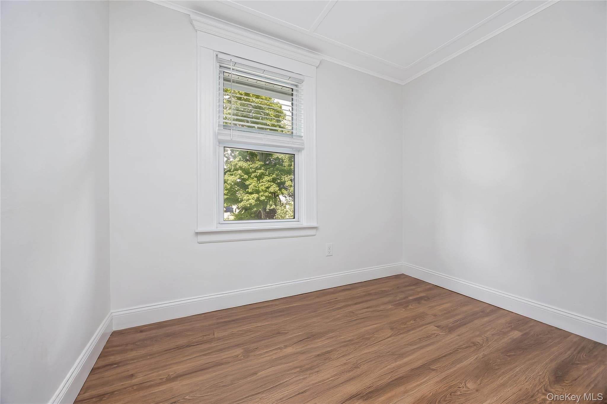 53 Thorne Street thumbnail 26