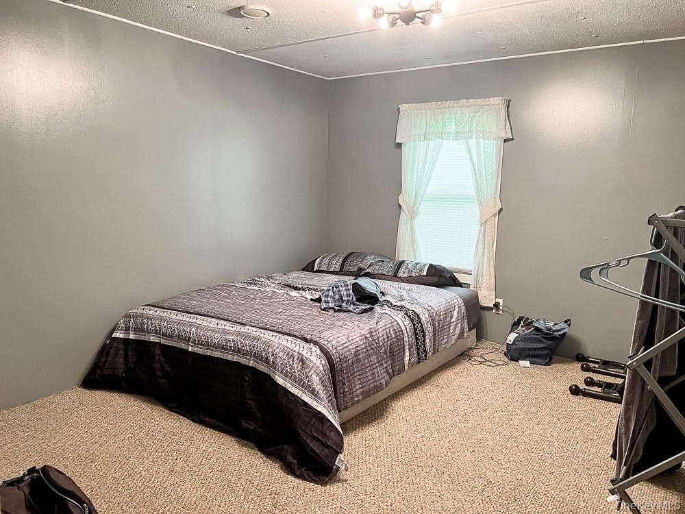 166 Seeman Road thumbnail 44