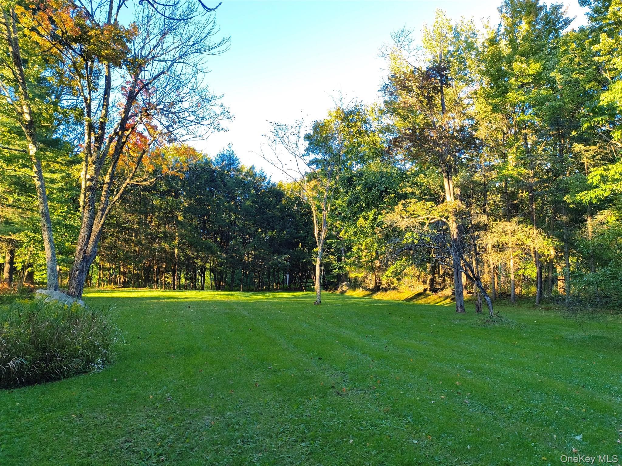 3 Jacob Drive thumbnail 37