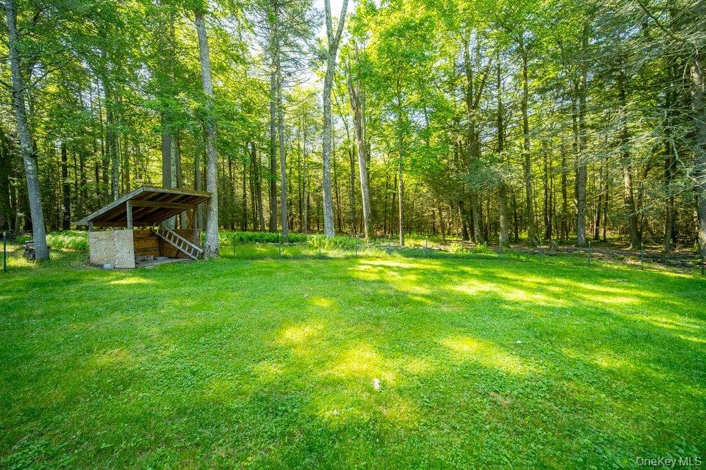 132 Proctor Road thumbnail 18
