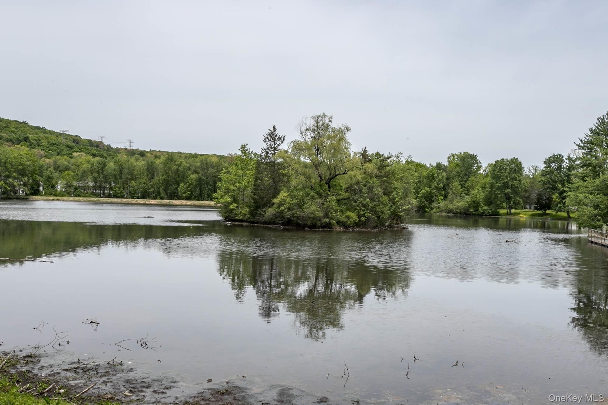 804 Swan Hollow Road thumbnail 15