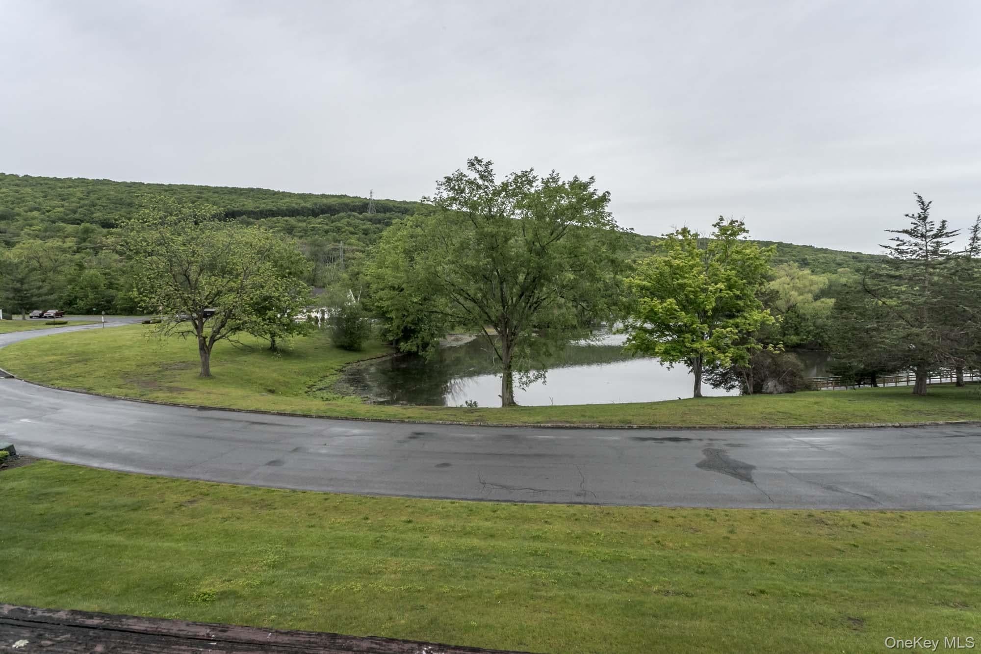 804 Swan Hollow Road thumbnail 16
