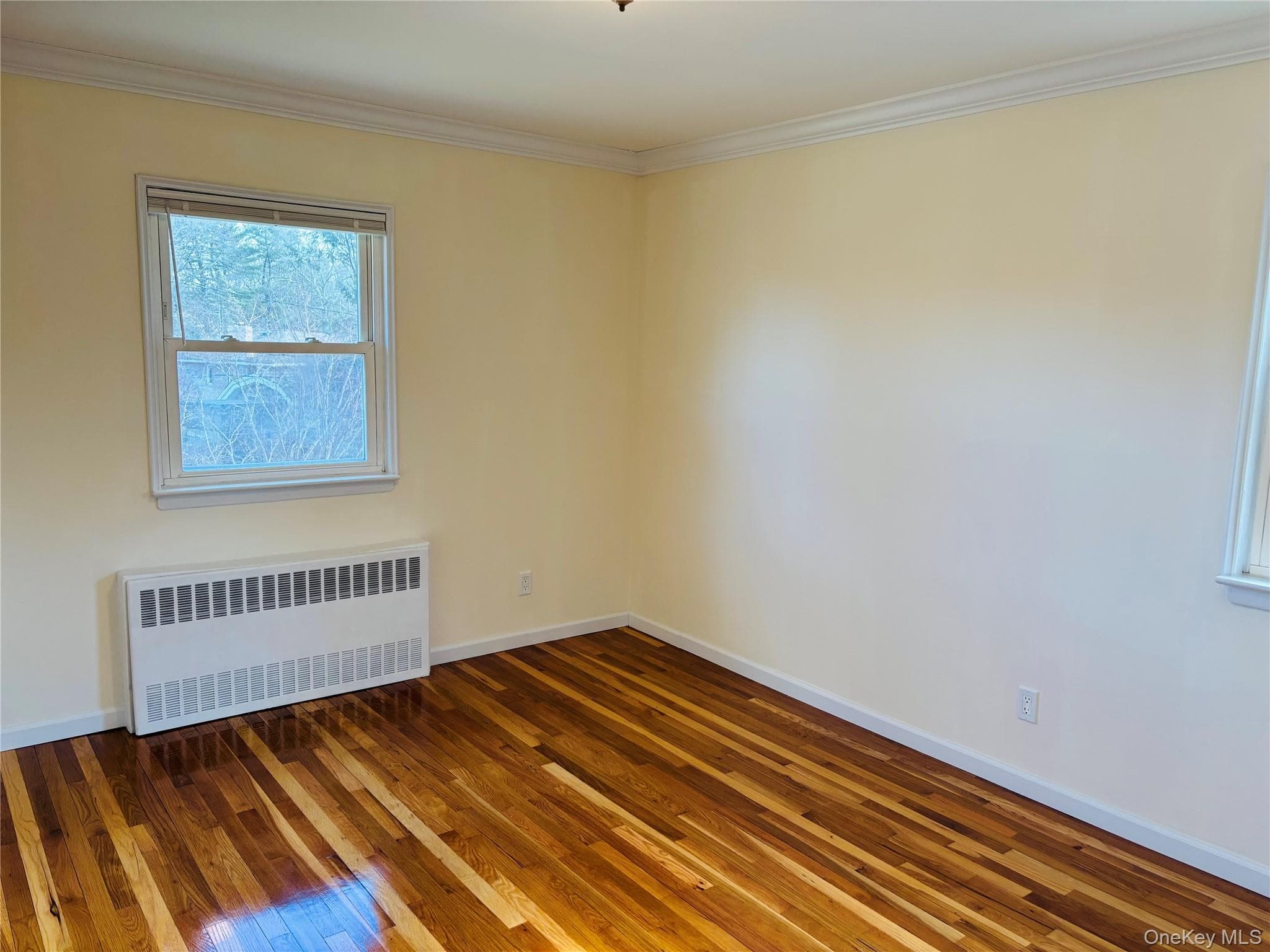 71 Willits Road thumbnail 11