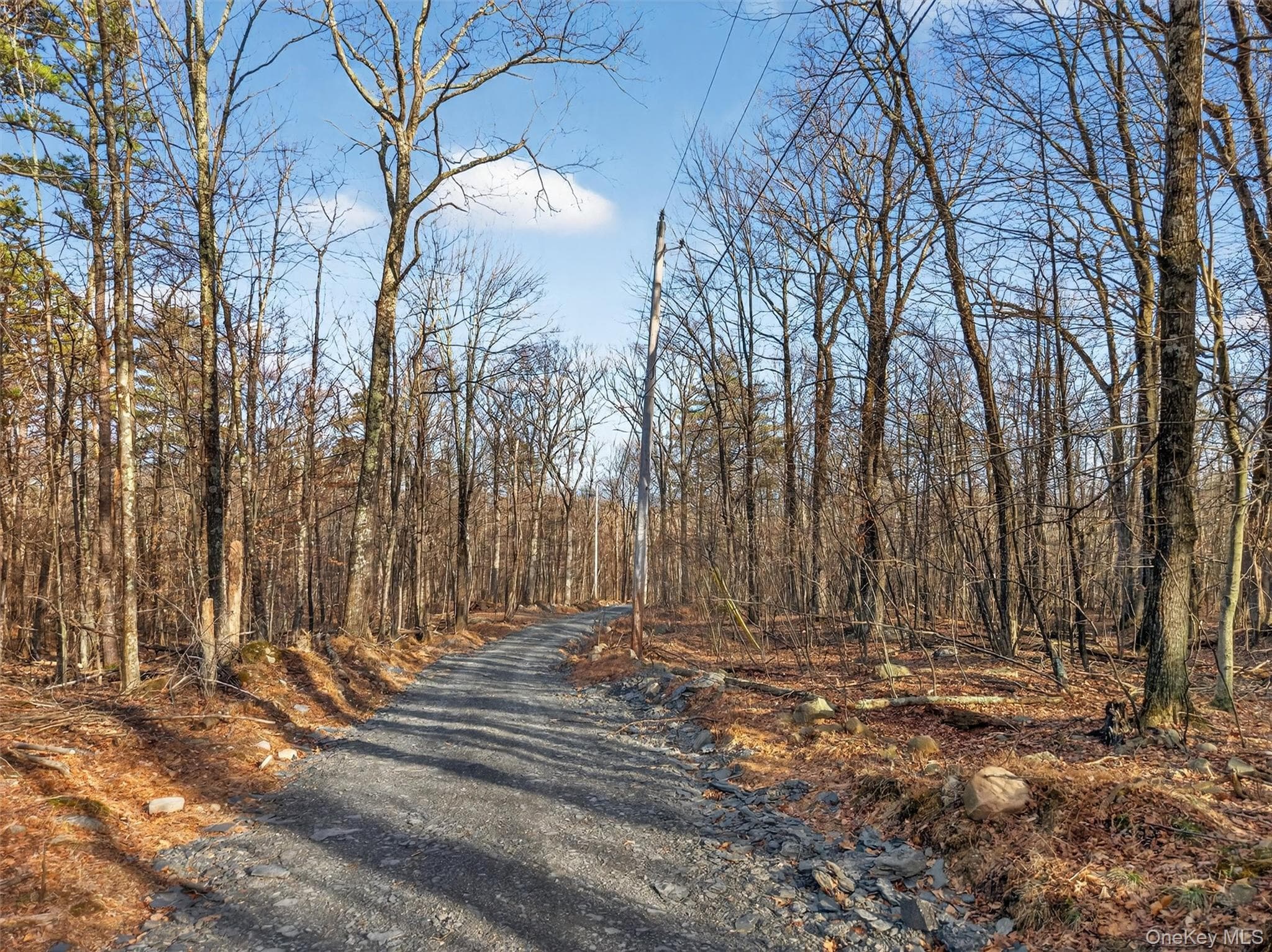 Lenni Lenape Avenue thumbnail 5