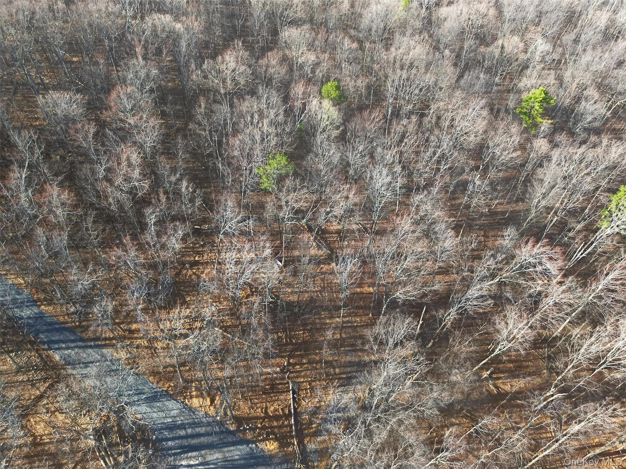 Lenni Lenape Avenue thumbnail 9