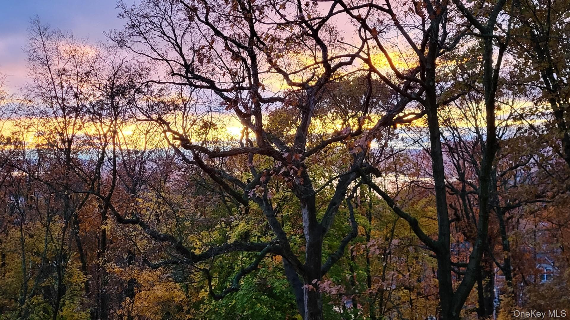 150 Overlook Avenue Unit: 5E thumbnail 6