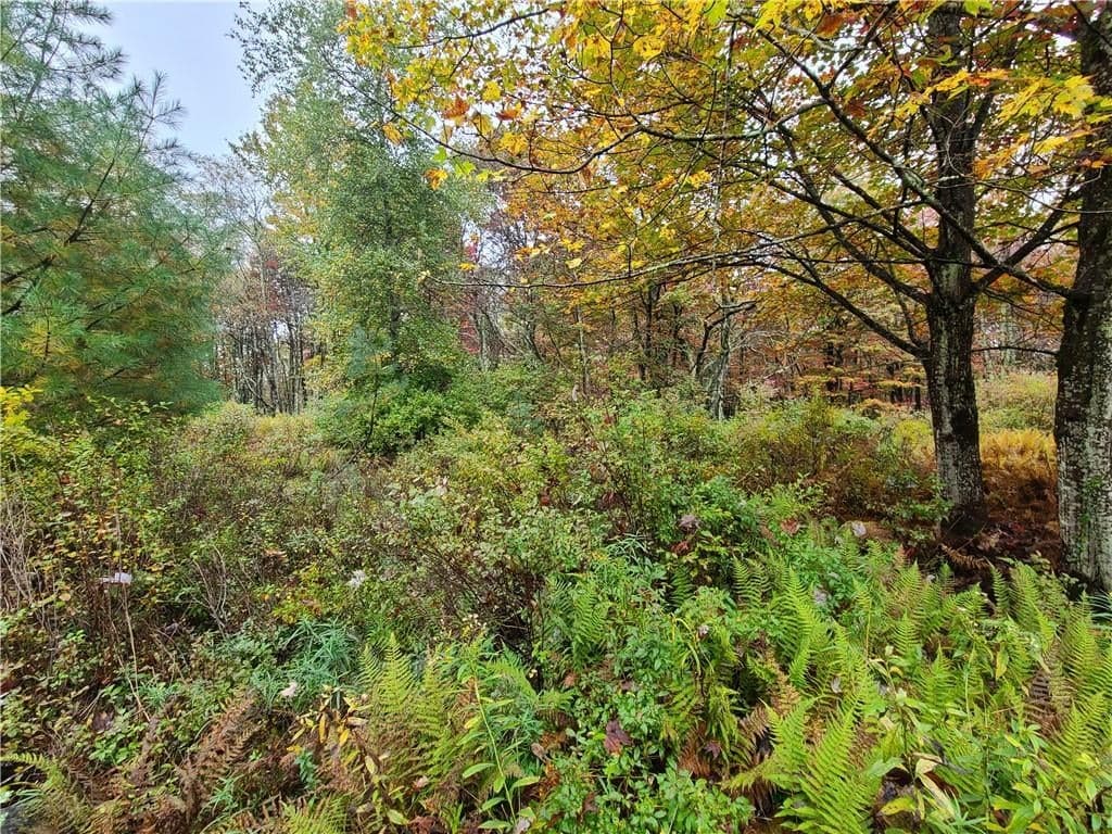 116 Voss Road thumbnail 14