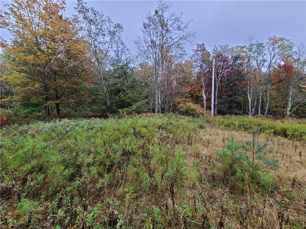 116 Voss Road thumbnail 6