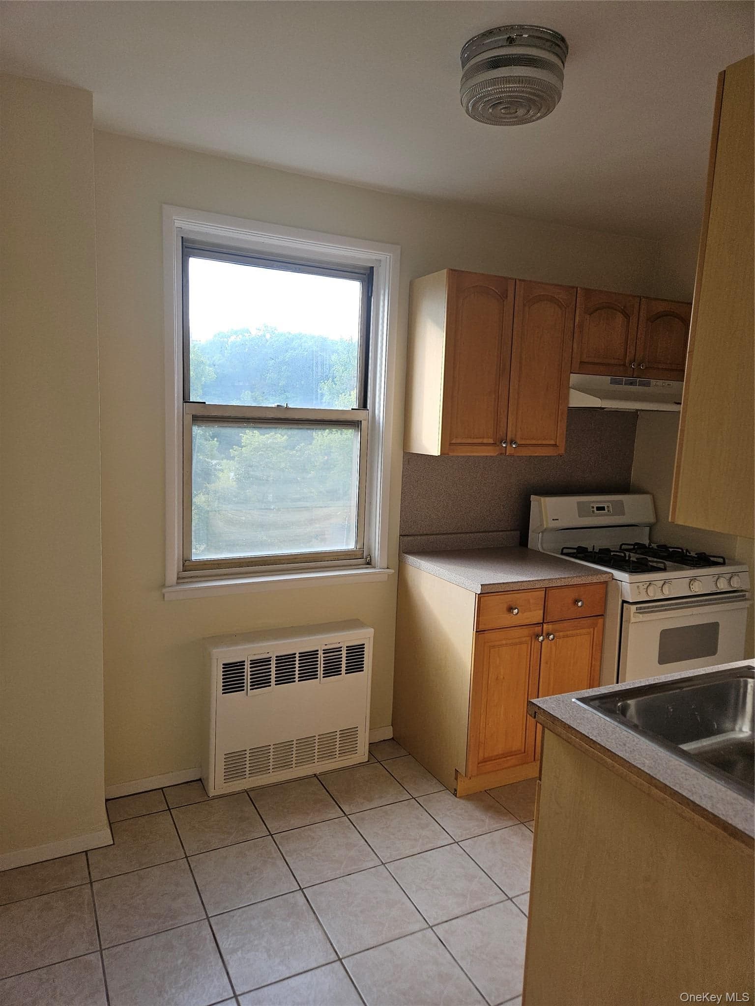 5500 Fieldston Drive Unit: 4ii thumbnail 9