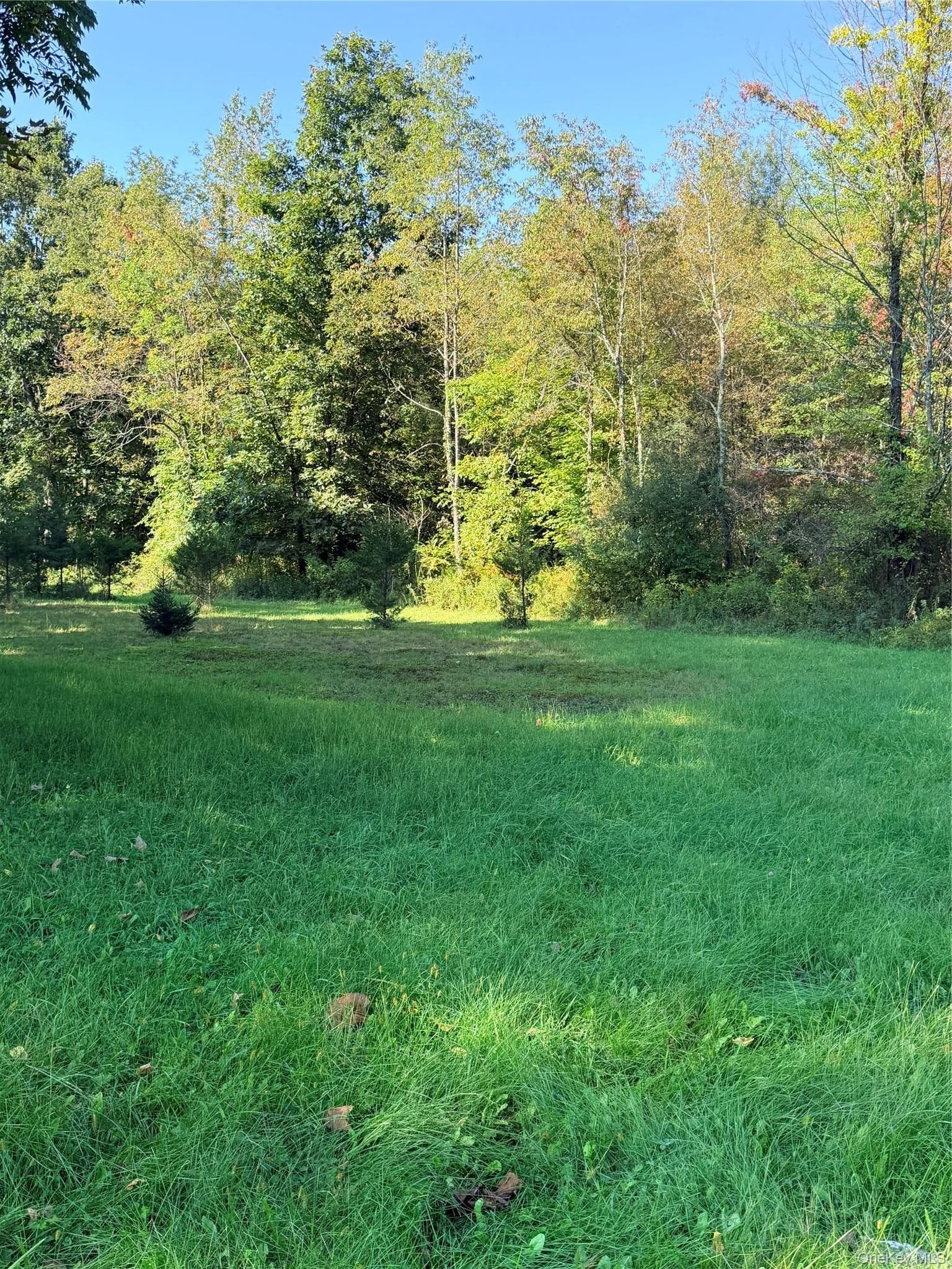 N Fostertown Drive thumbnail 2