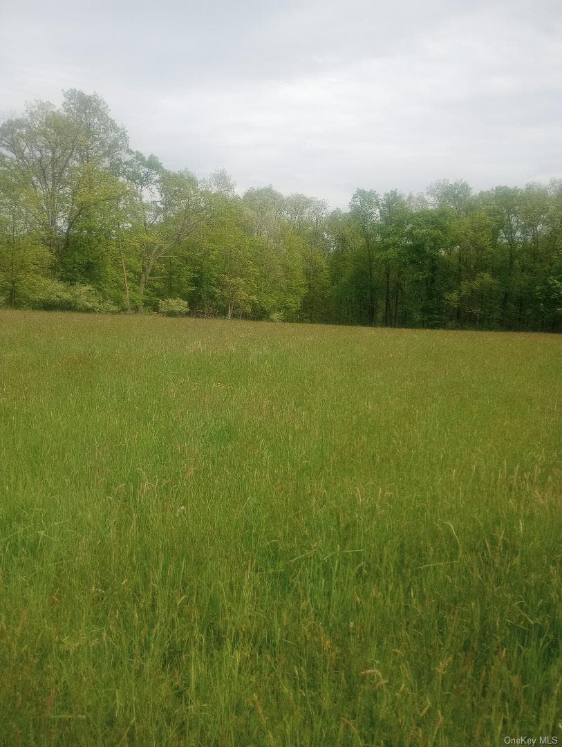 Myers RD. Westtown, NY 10 Myers Road, Westtown