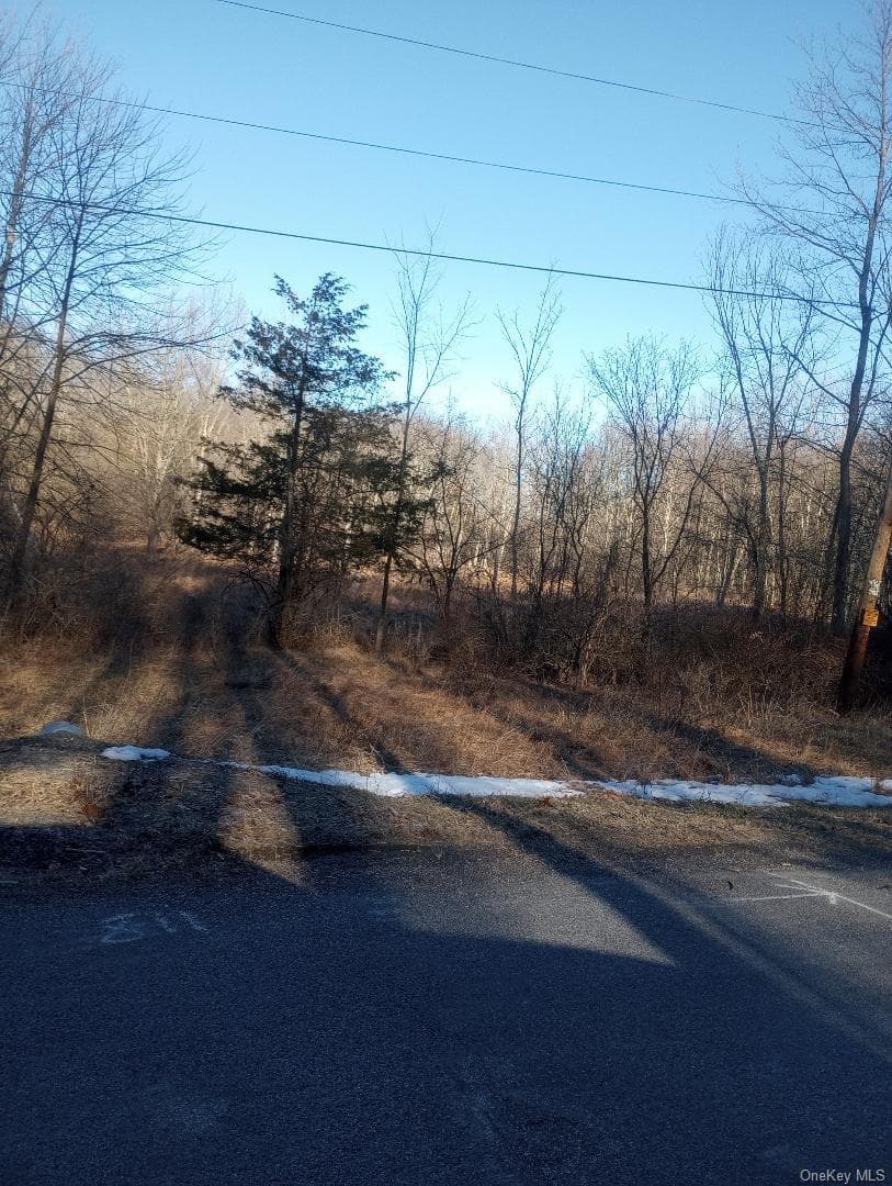 Myers RD. Westtown, NY 10 Myers Road thumbnail 8