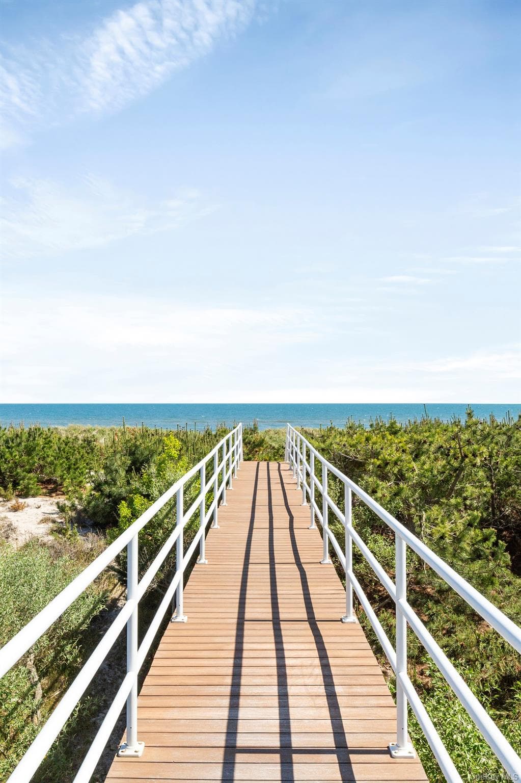 559 Dune Road thumbnail 19