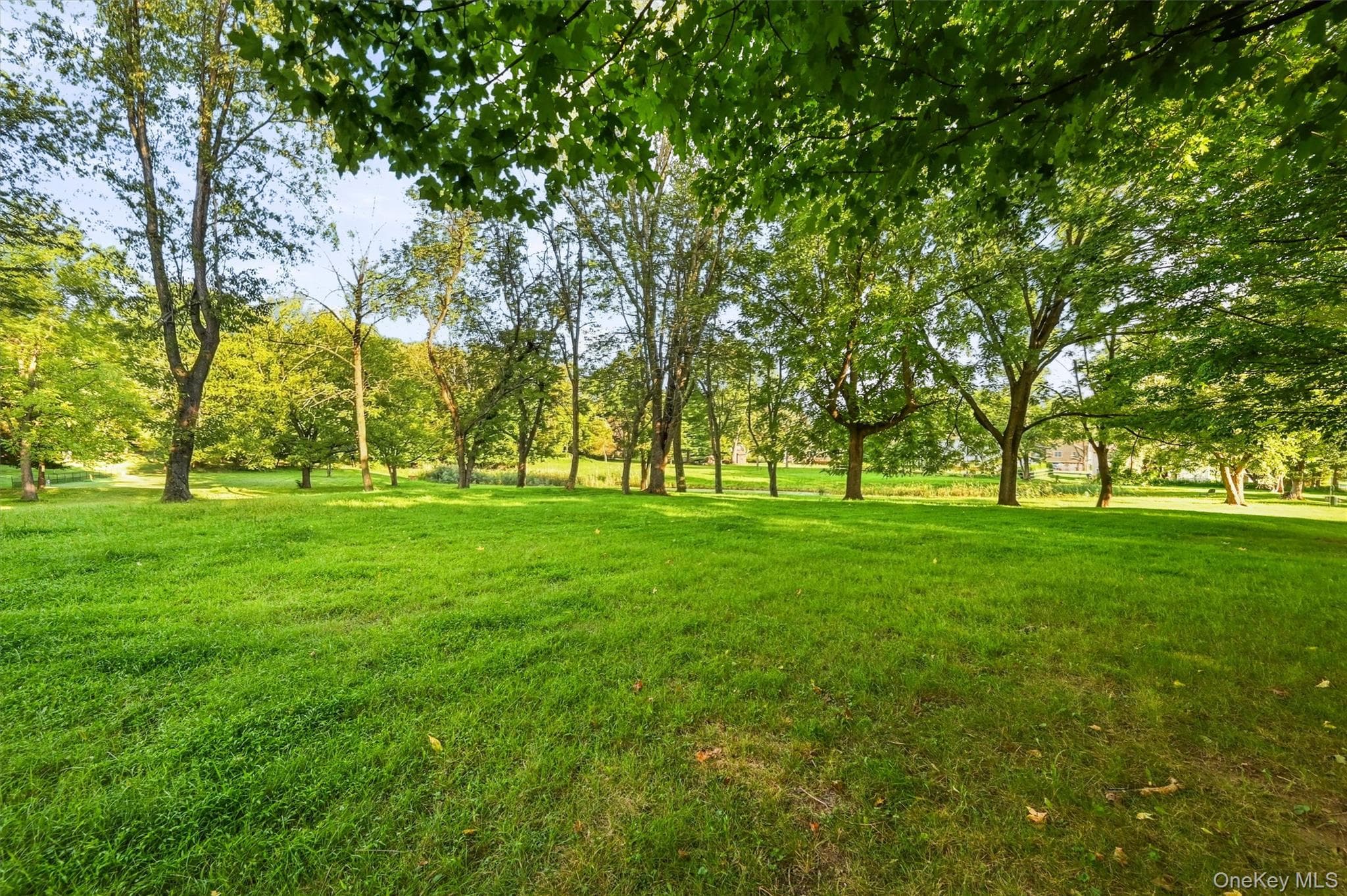 14 Pond Hill Avenue thumbnail 33