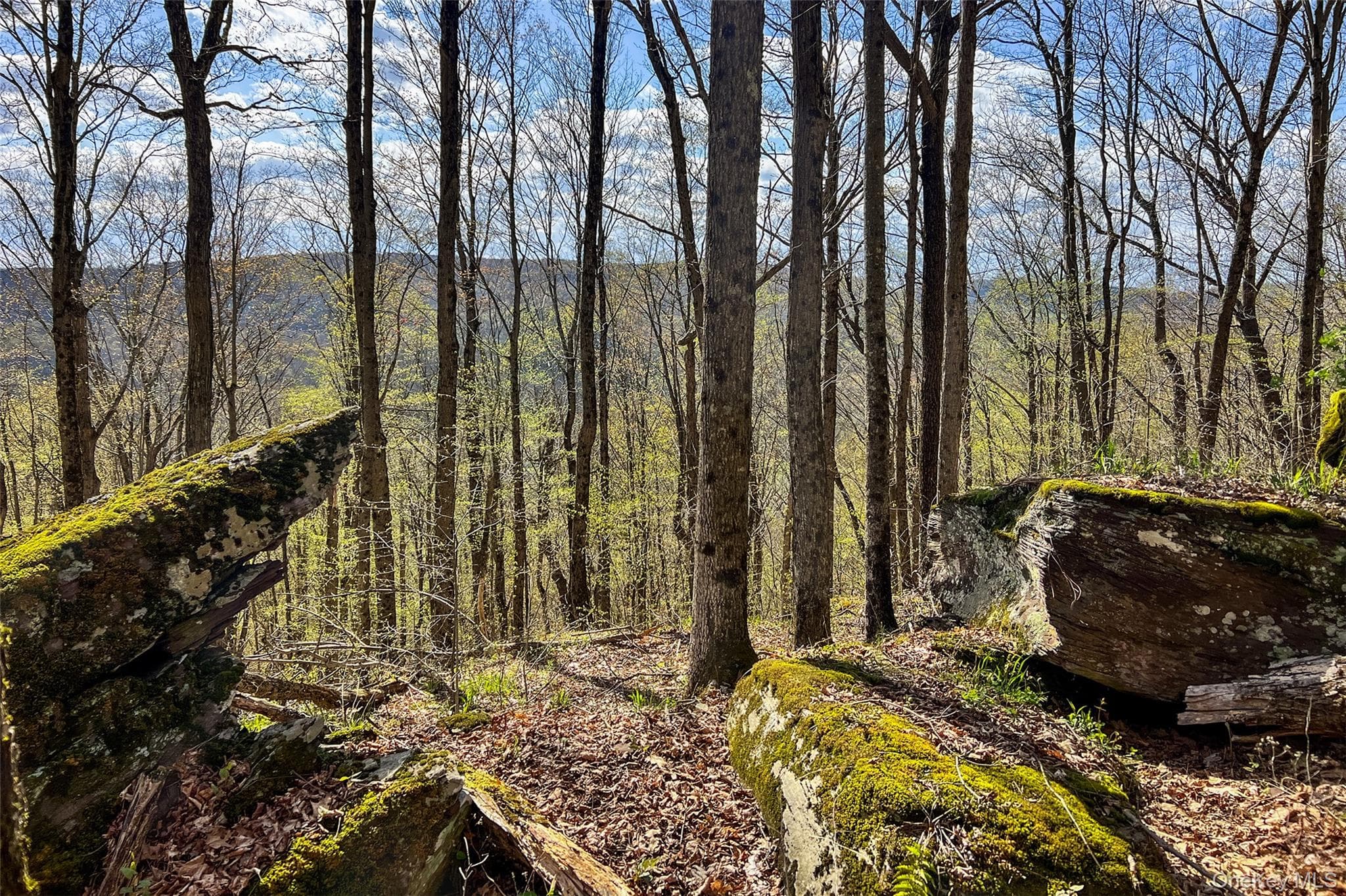 1264 Betty Brook Road thumbnail 45