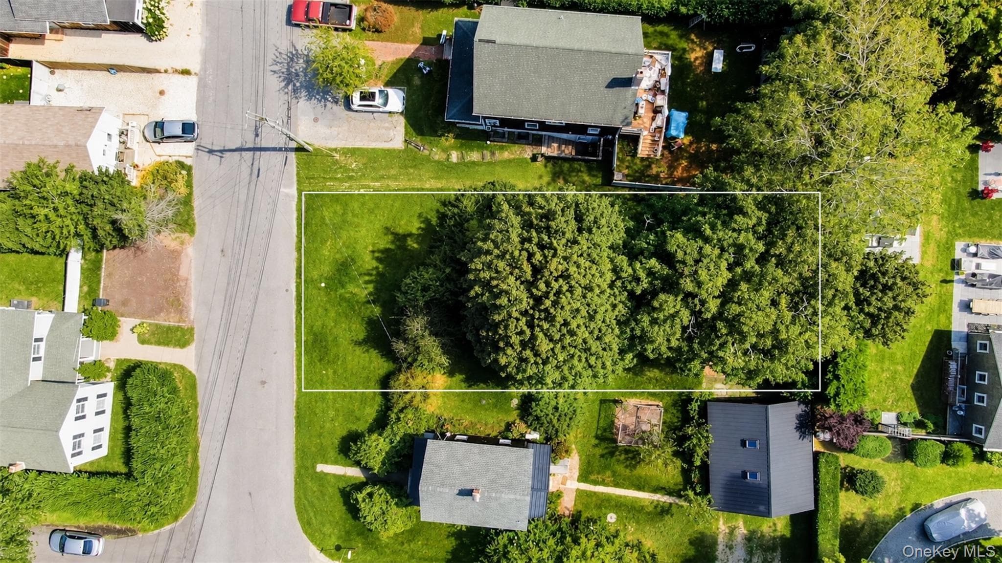 820 Wiggins Street thumbnail 2