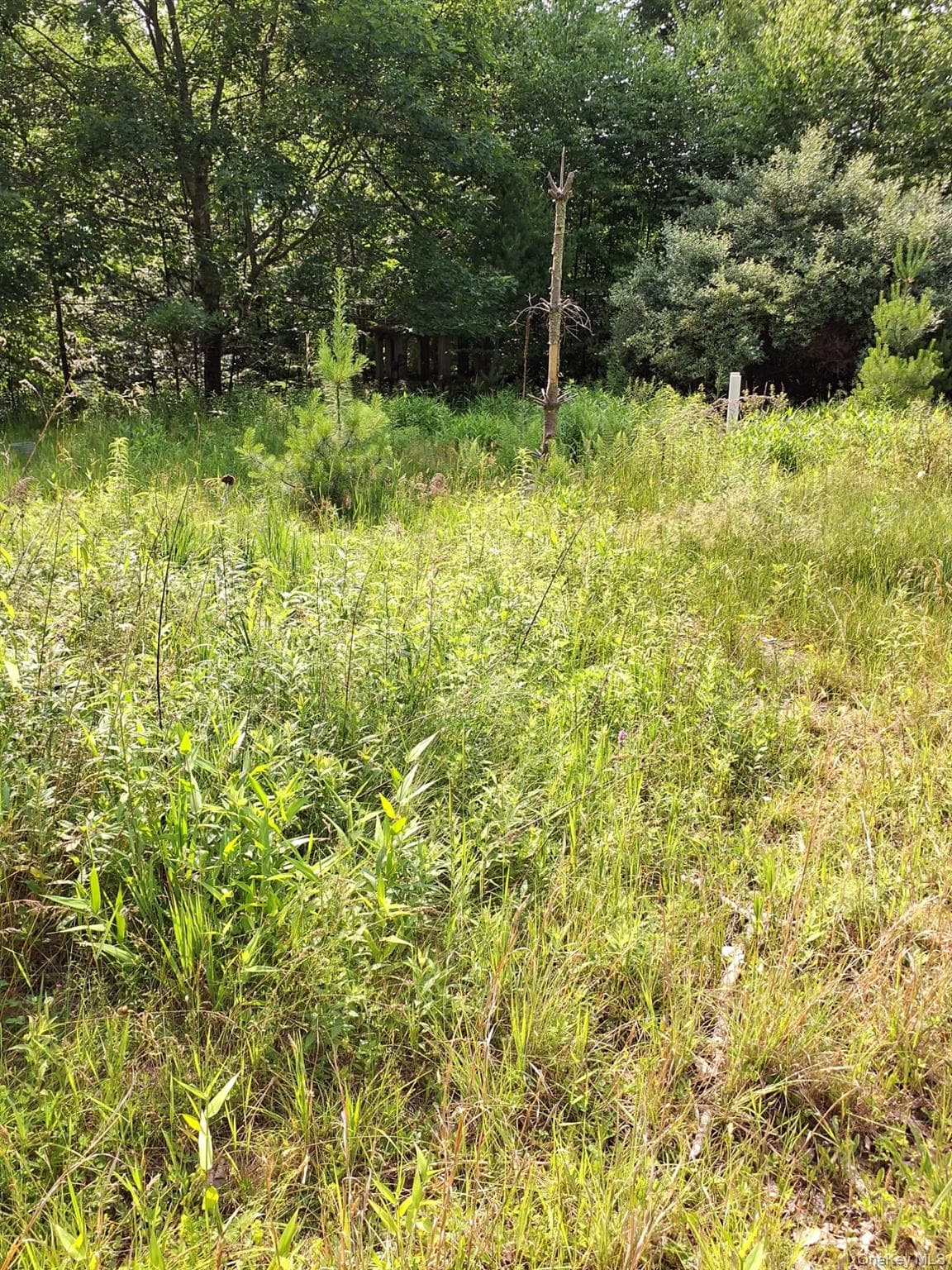 96 Hasbrouck Road thumbnail 10