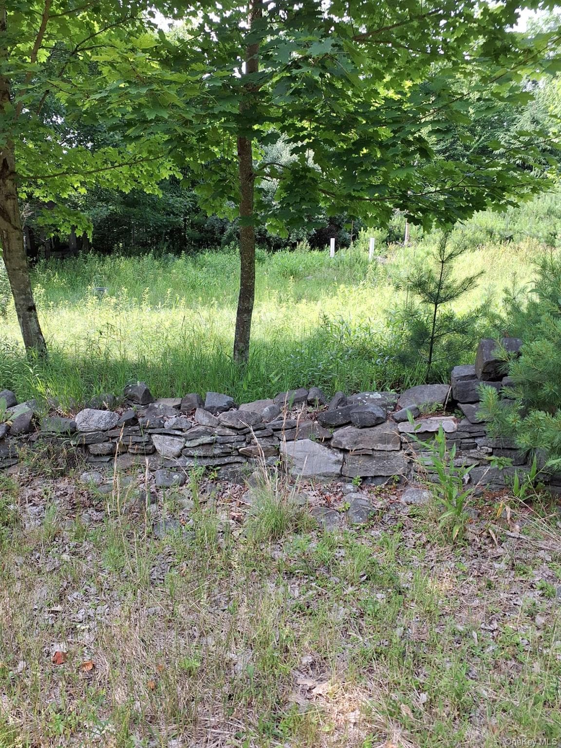 96 Hasbrouck Road thumbnail 2