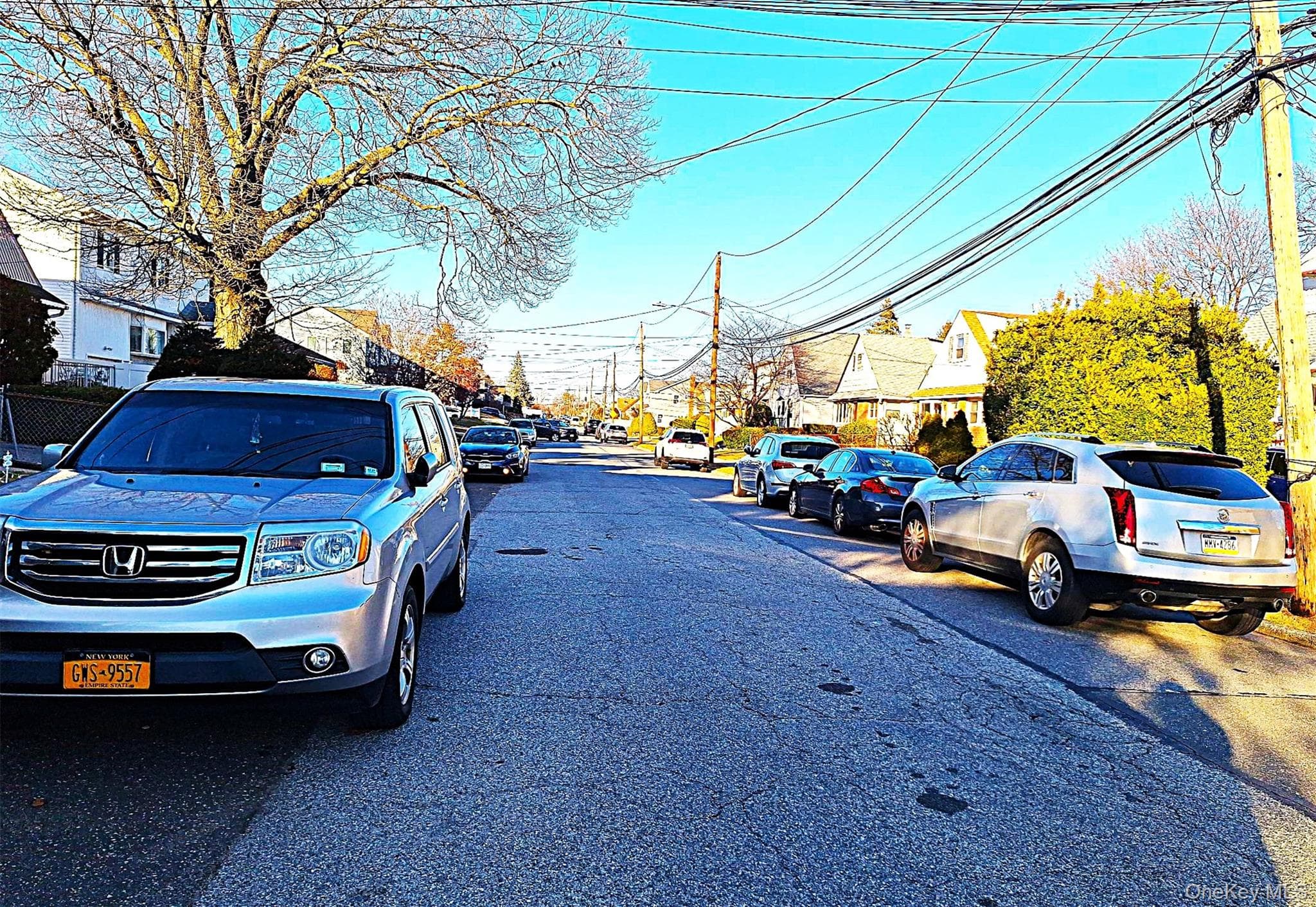 494 Keller Avenue thumbnail 4