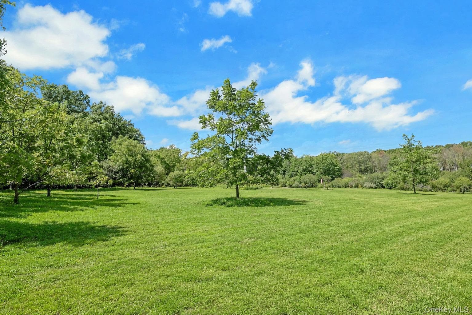 130 Apple Lane Drive thumbnail 29