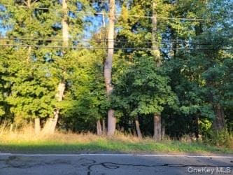 144 Old Haverstraw Road thumbnail 2