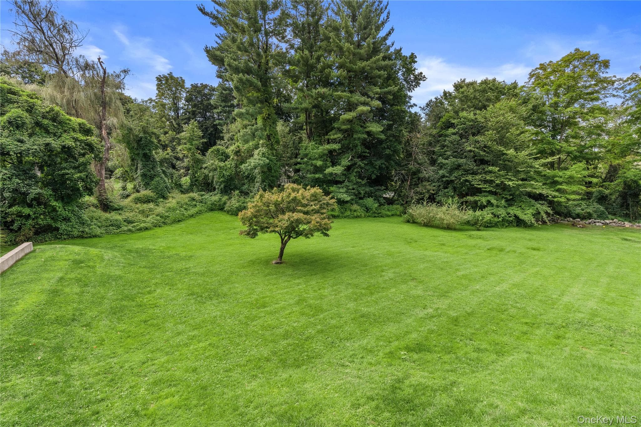 406 Bedford Road thumbnail 44