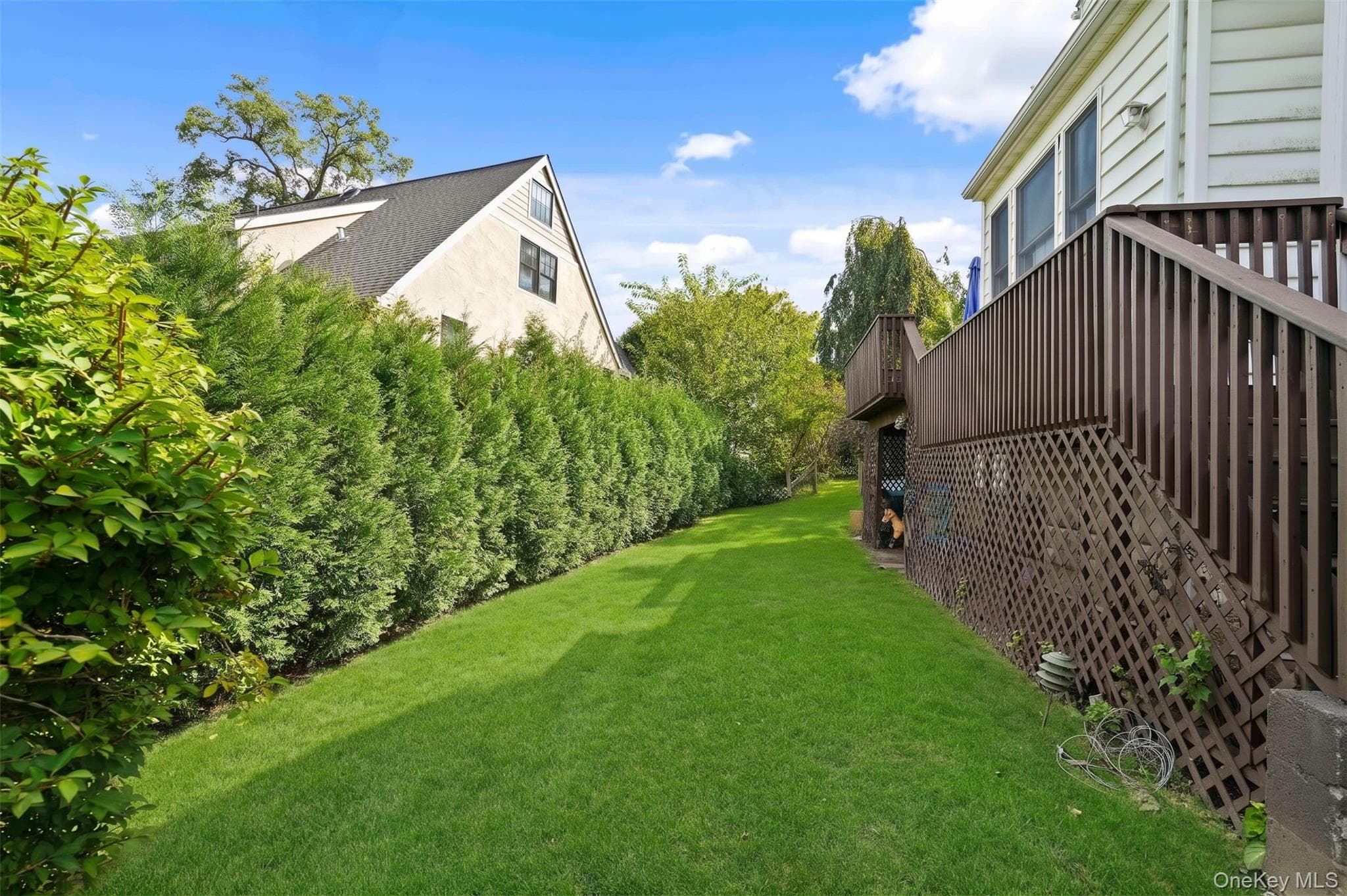 127 Ralph Avenue thumbnail 32