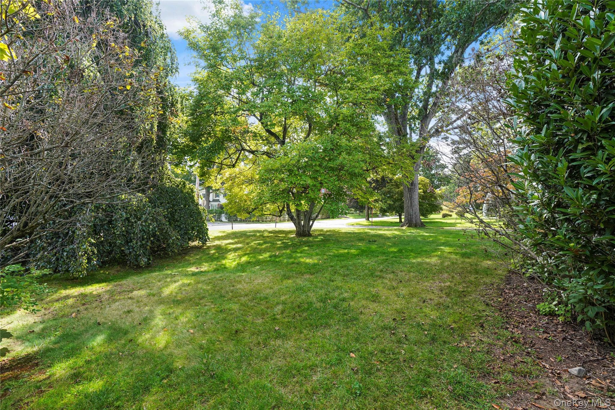 127 Ralph Avenue thumbnail 33