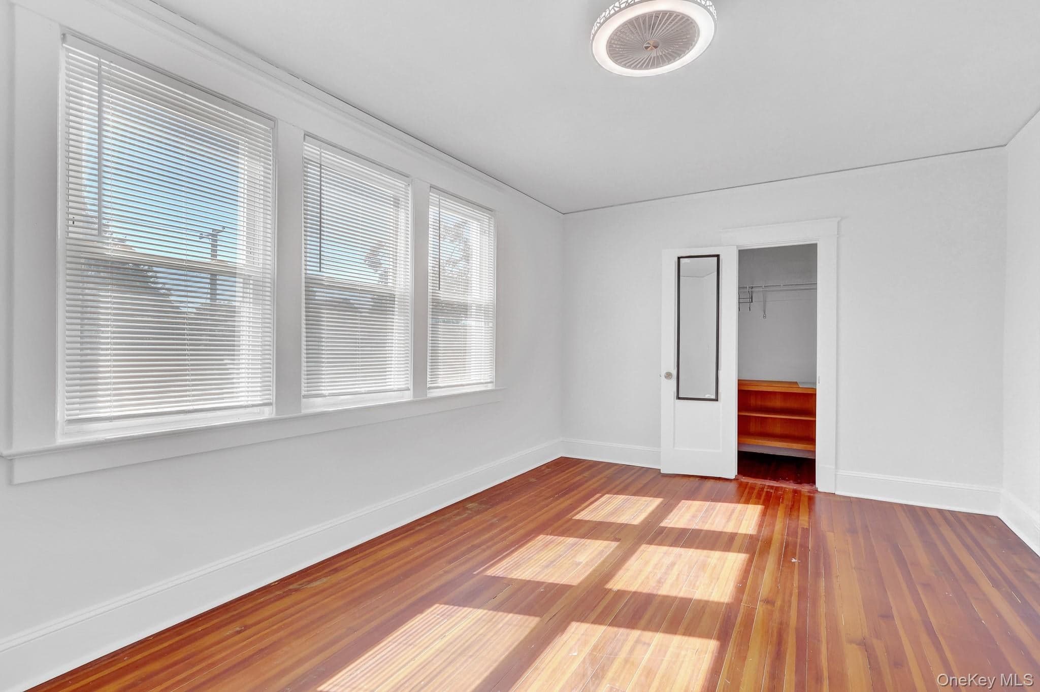 169 Butler Street thumbnail 24