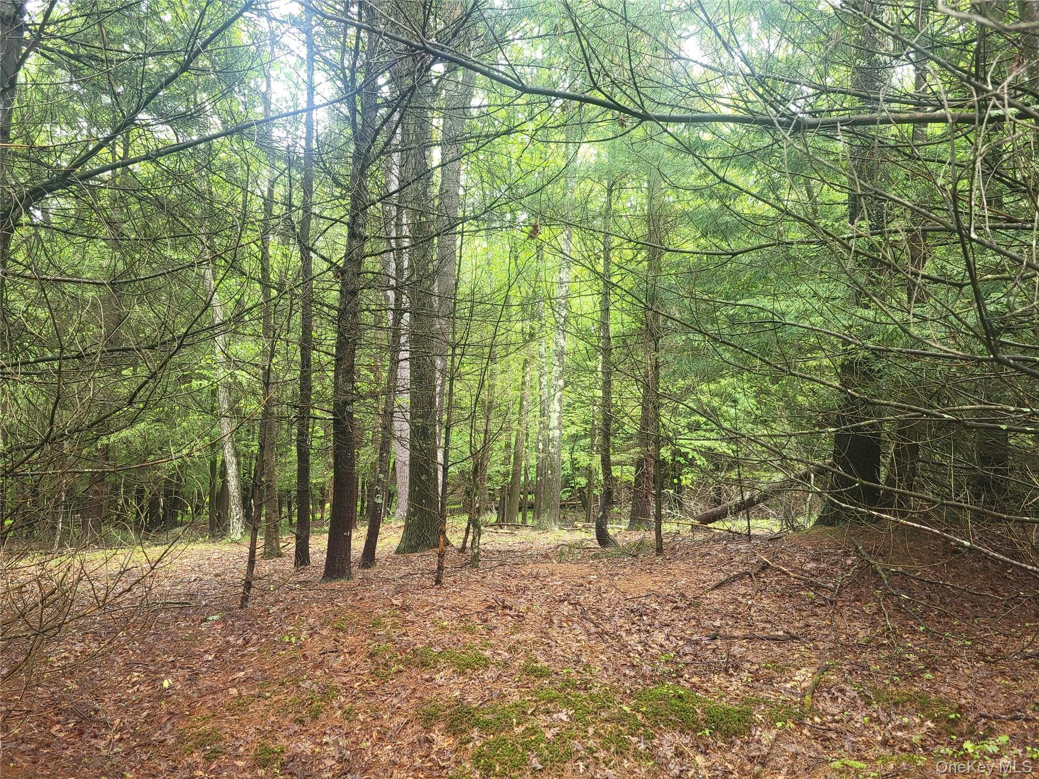 *** Marsh Rd thumbnail 7
