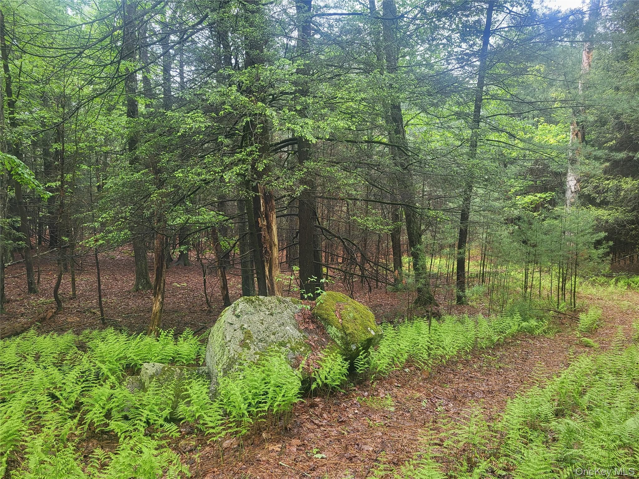 *** Marsh Rd thumbnail 5