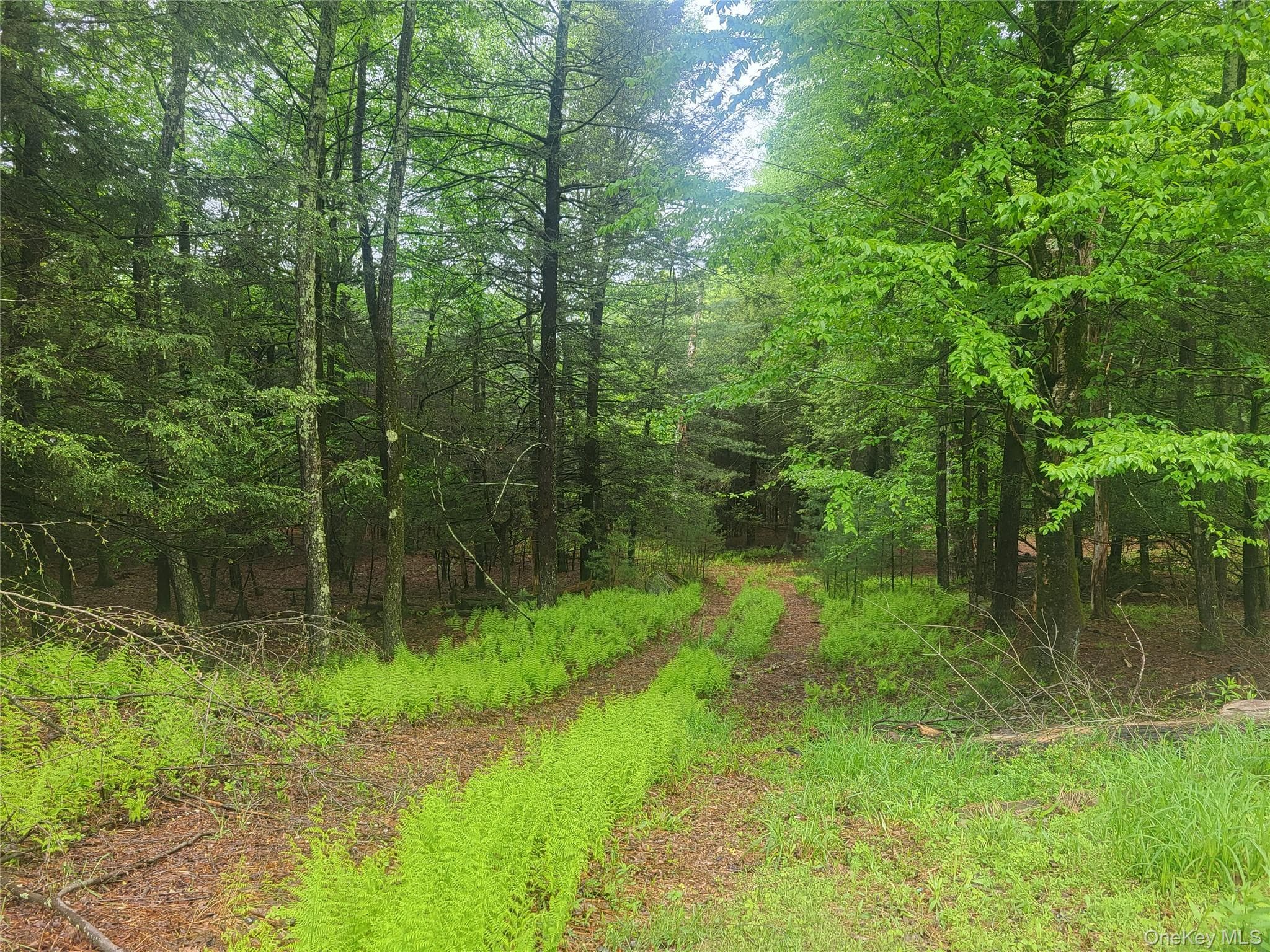 *** Marsh Rd thumbnail 4