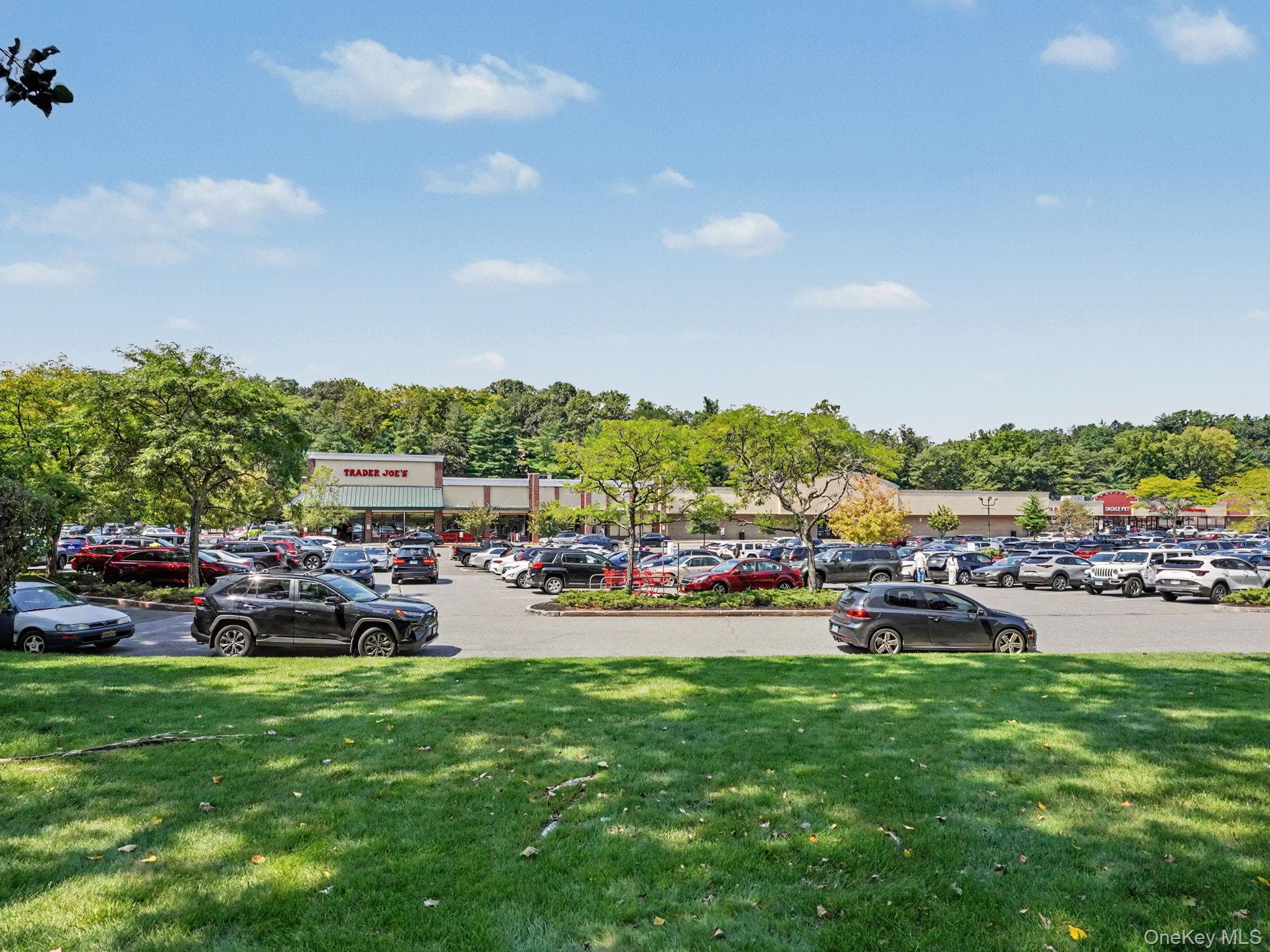 30 E Hartsdale Avenue Unit: 3E thumbnail 28