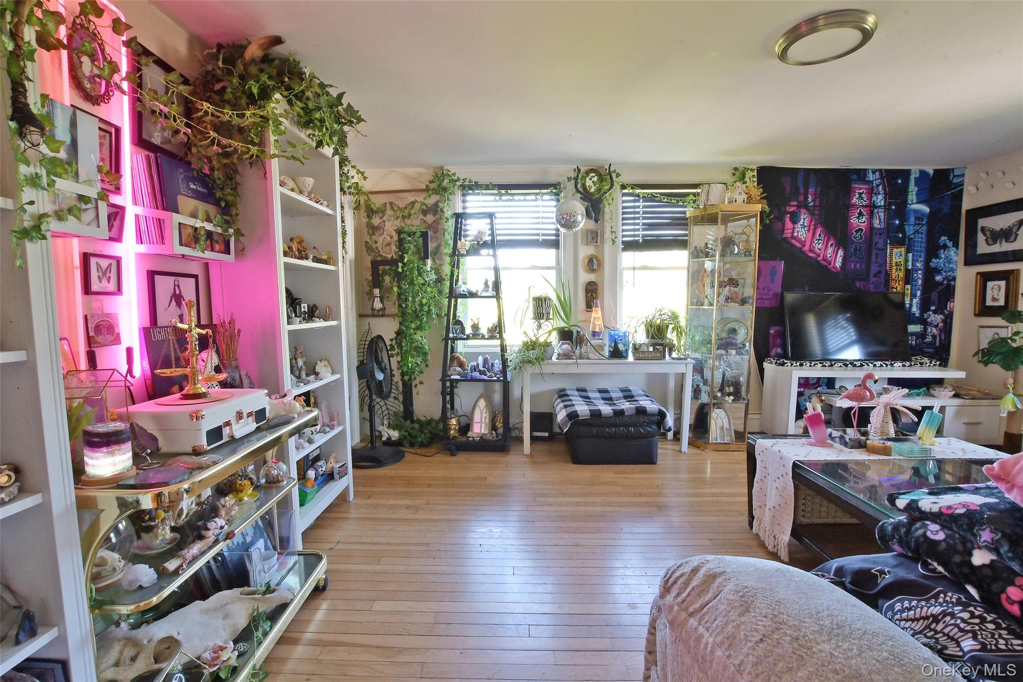 478 Marcy Avenue thumbnail 3