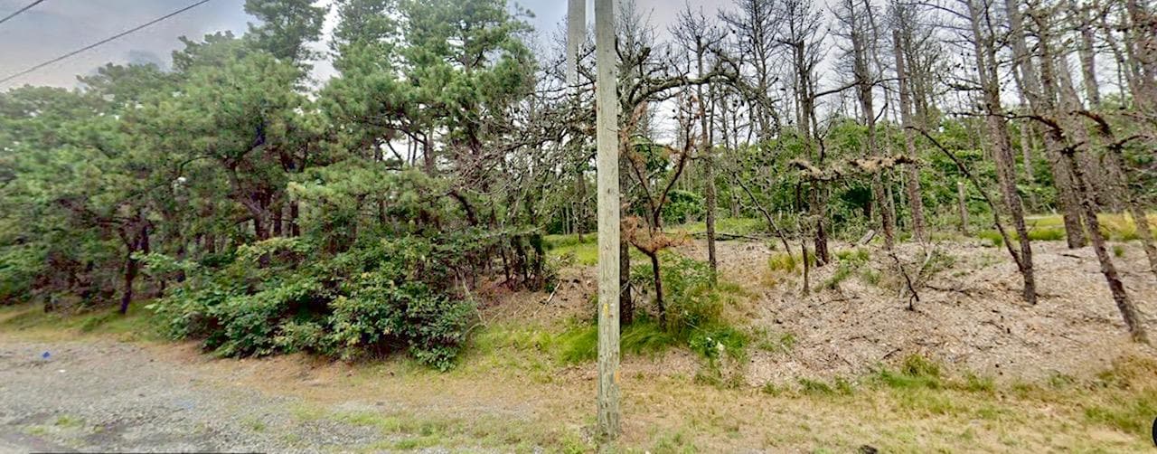 202-214 Old Country Rd thumbnail 8