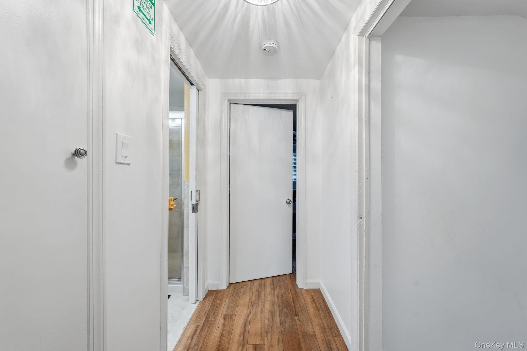 295 Union Avenue thumbnail 12