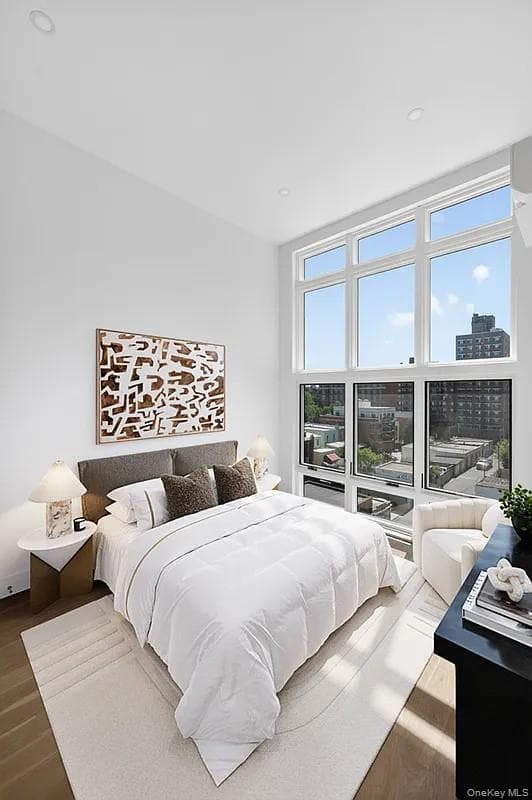 31-65 14th Street Unit: PHB thumbnail 6