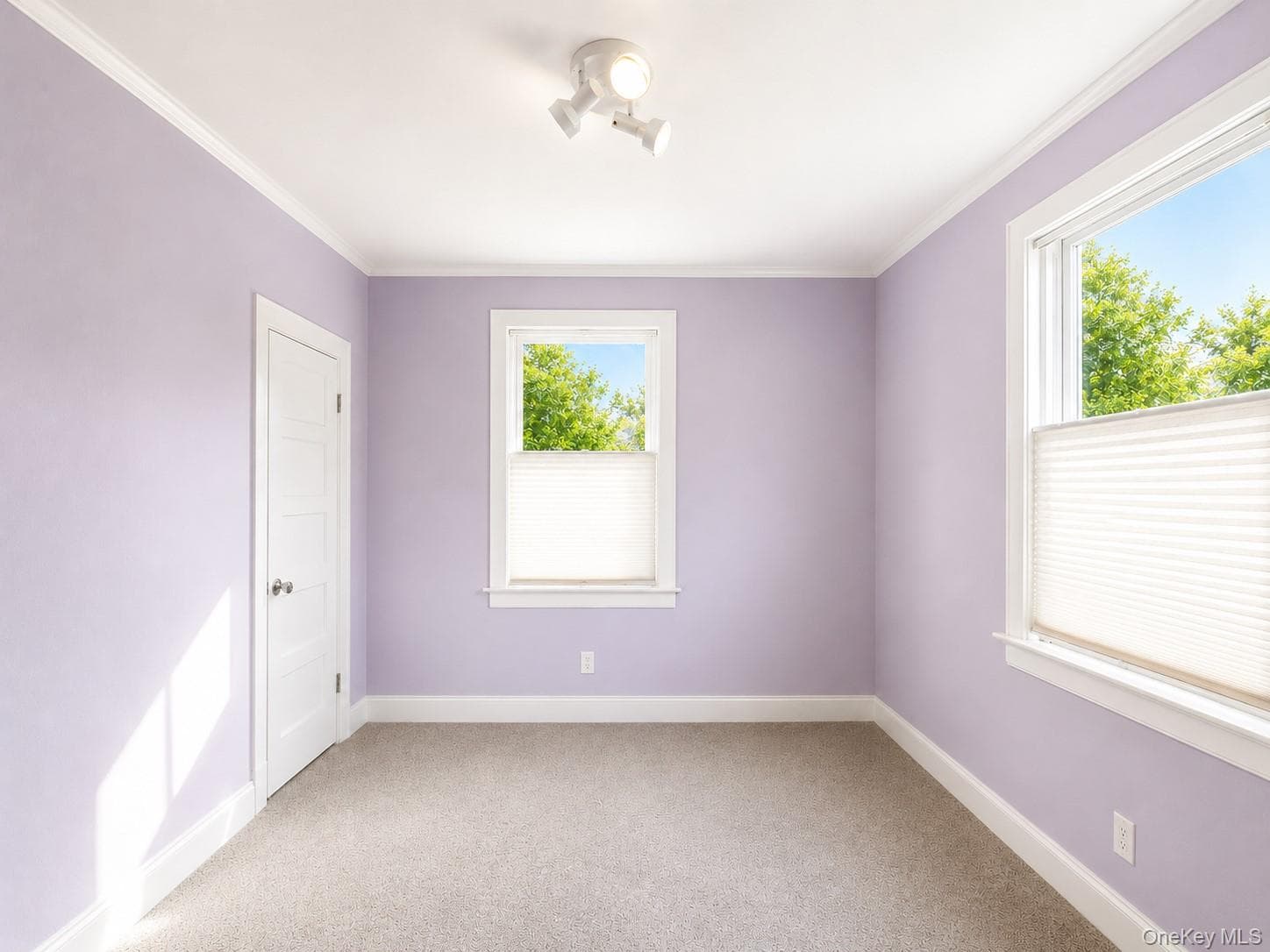 145 Lincoln Avenue thumbnail 16