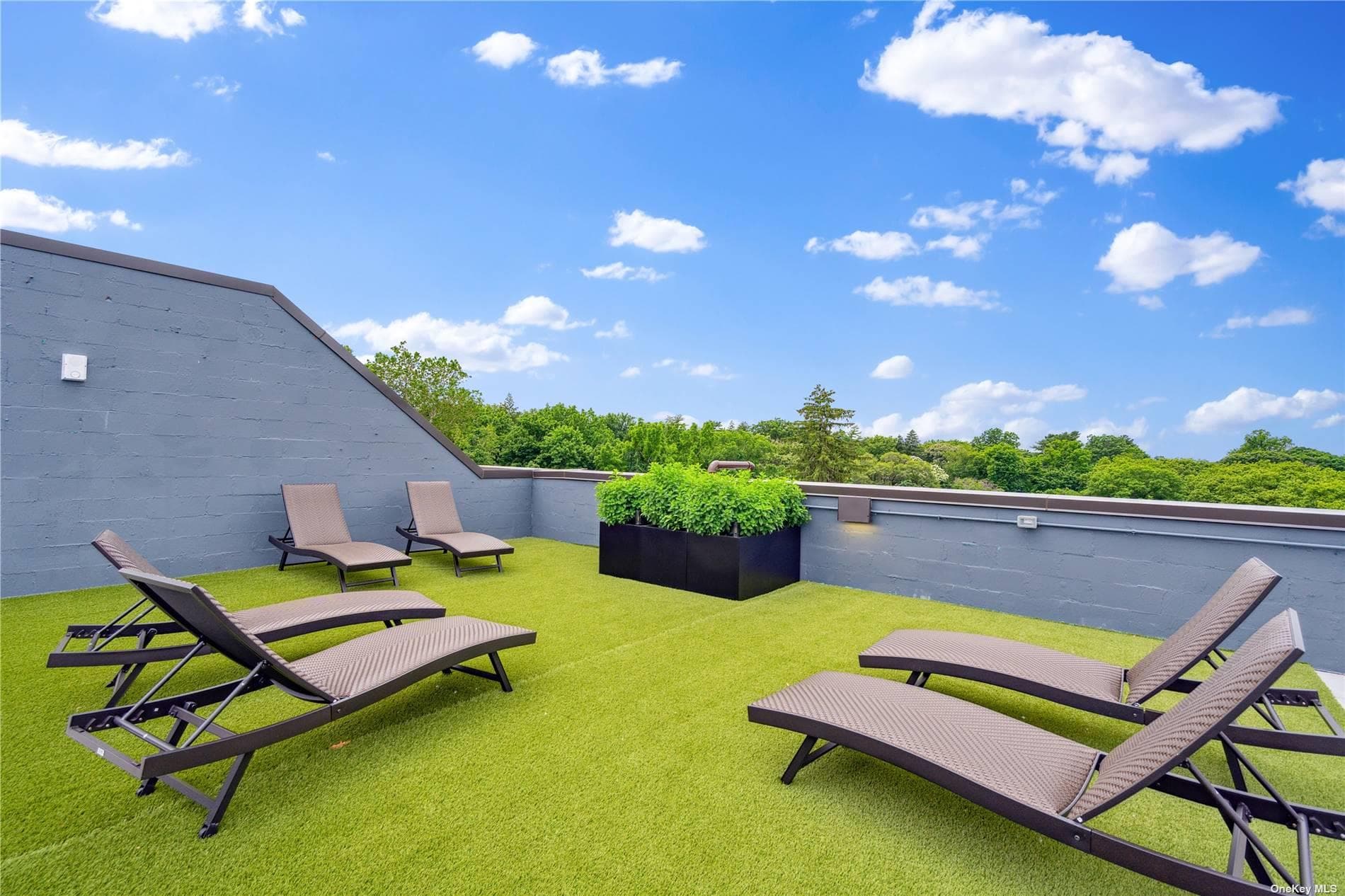 218 Middle Neck Road Unit: 203 thumbnail 13