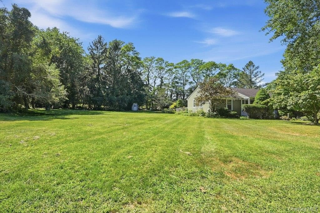 985 Silver Colt Road thumbnail 29