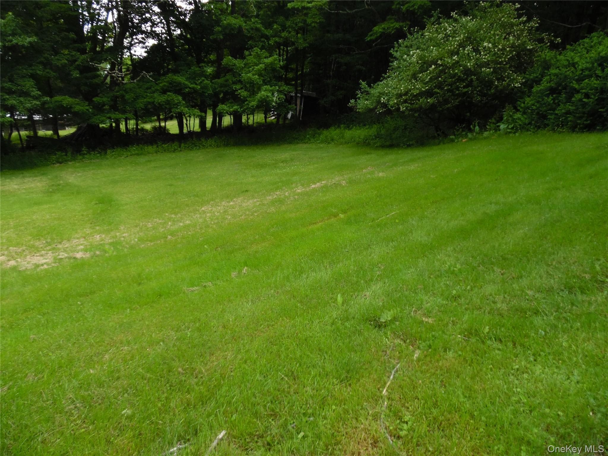 15 Cora Avenue thumbnail 7