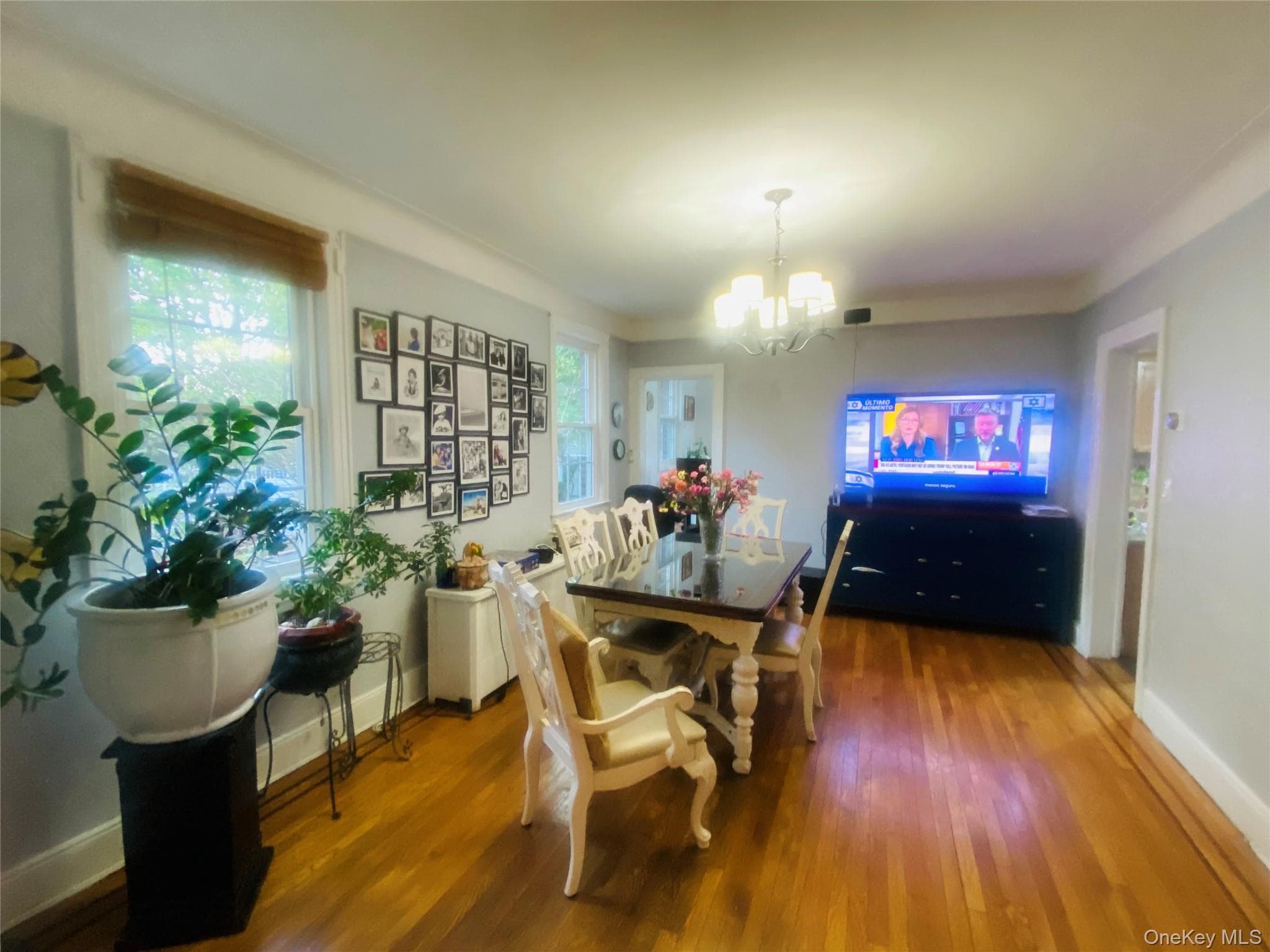 42 Mead Street thumbnail 7