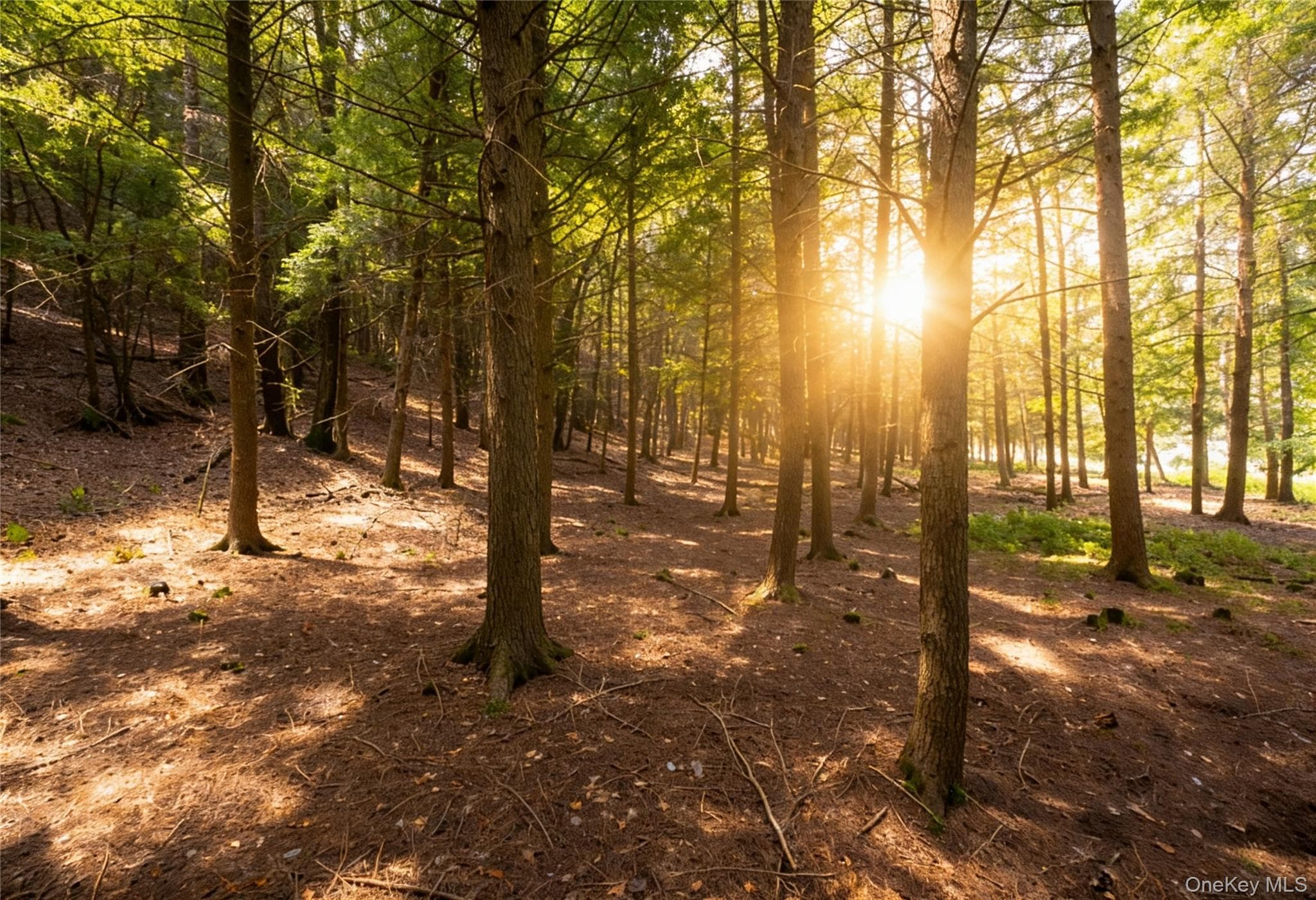 Lot 5 Timber Drive thumbnail 2