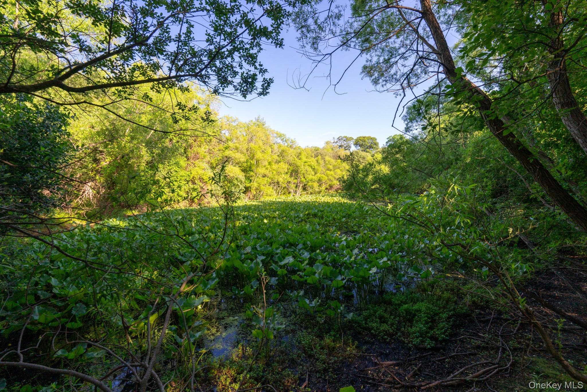 357 Smithtown Boulevard thumbnail 43