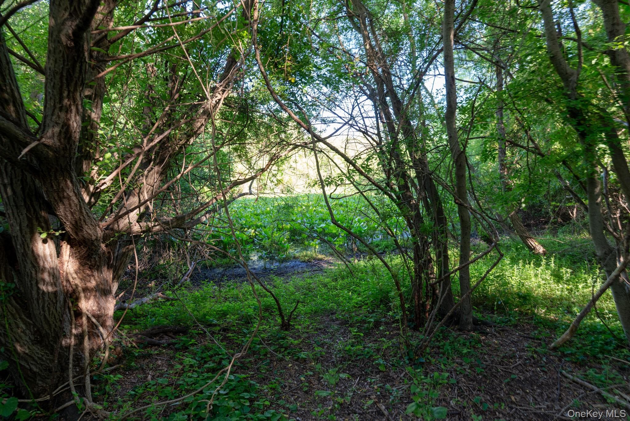 357 Smithtown Boulevard thumbnail 41