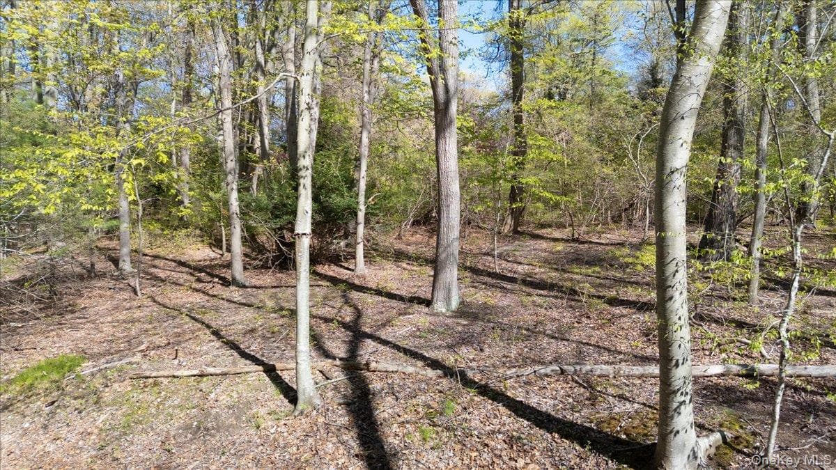 7 Spring Hill thumbnail 5