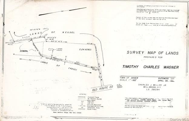 11 Buttonwood Road thumbnail 7