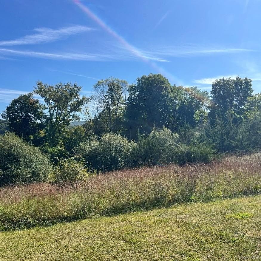 11 Buttonwood Road thumbnail 4